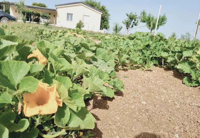 Villetta a Isola di Capo Rizzuto - LA GREENHOUSE|VACANZE ISOLA DI CAPO RIZZUTO