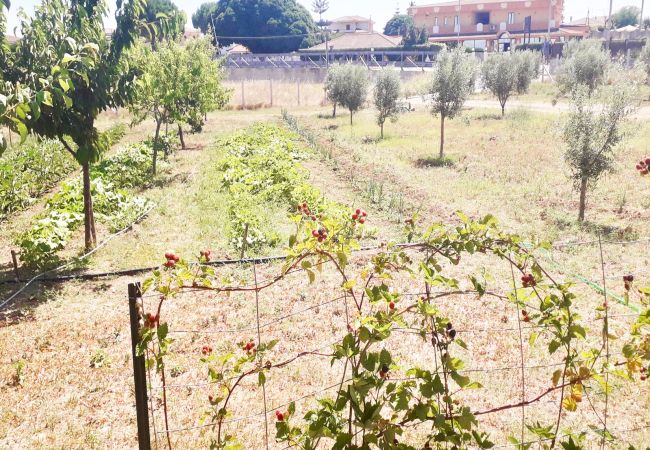 Villetta a Isola di Capo Rizzuto - LA GREENHOUSE|VACANZE ISOLA DI CAPO RIZZUTO