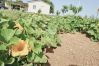 Villetta a Isola di Capo Rizzuto - LA GREENHOUSE|VACANZE ISOLA DI CAPO RIZZUTO