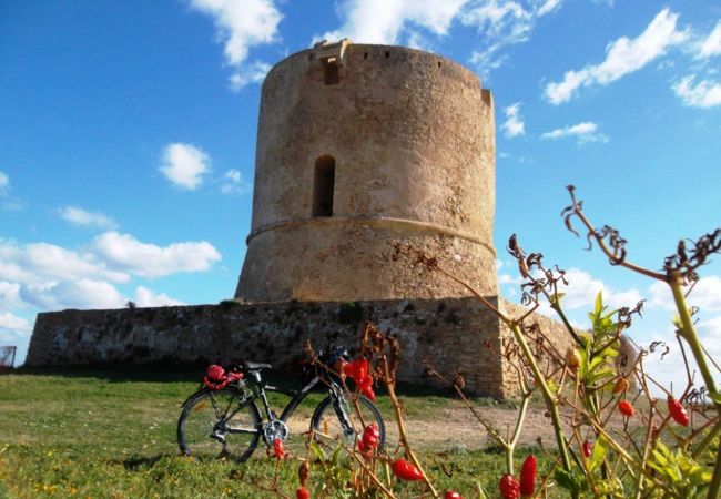 Apartment in Isola di Capo Rizzuto - CALAMARO  1P: HOLIDAY HOME CALABRIA