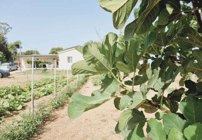 Chalet in Isola di Capo Rizzuto - LA GREENHOUSE| ISOLA DI CAPO RIZZUTO HOLIDAYS